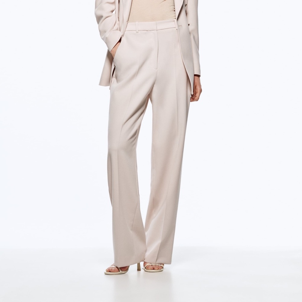 Brand New Zara Menswear Style Wide Leg Pants
Beige-Pink